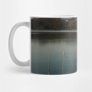 Lake with swan and bridge landscape photography Mug